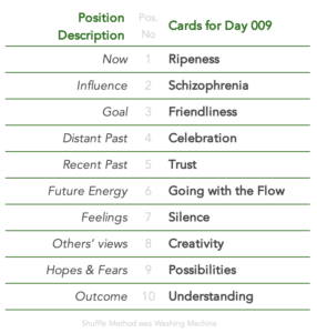 Tabled list:position number,description,and daily card.1 is Now, card is Ripeness.2 is Influence, card is Schizophrenia.3 is Goal, card is Friendliness.4 is Distant Past, card is Celebration.5 is Recent Past, card is Trust.6 is Future Energy, card is Going with the Flow.7 is Feelings, card is Silence.8 is Others’ views, card is Creativity.9 is Hopes & Fears, card is Possibilities.10 is Outcome, card is Understanding.Shuffle Method used was Washing Machine.
