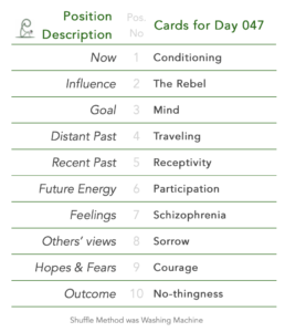 Day 047. Tabled list: position number, description, and daily card.1 is Now, card is Conditioning. 2 is Influence, card is The Rebel. 3 is Goal, card is Mind. 4 is Distant Past, card is Traveling. 5 is Recent Past, card is Receptivity. 6 is Future Energy, card is Participation. 7 is Feelings, card is Schizophrenia. 8 is Others’ views, card is Sorrow. 9 is Hopes & Fears, card is Courage. 10 is Outcome, card is No-thingness. Shuffle Method used was Washing Machine.